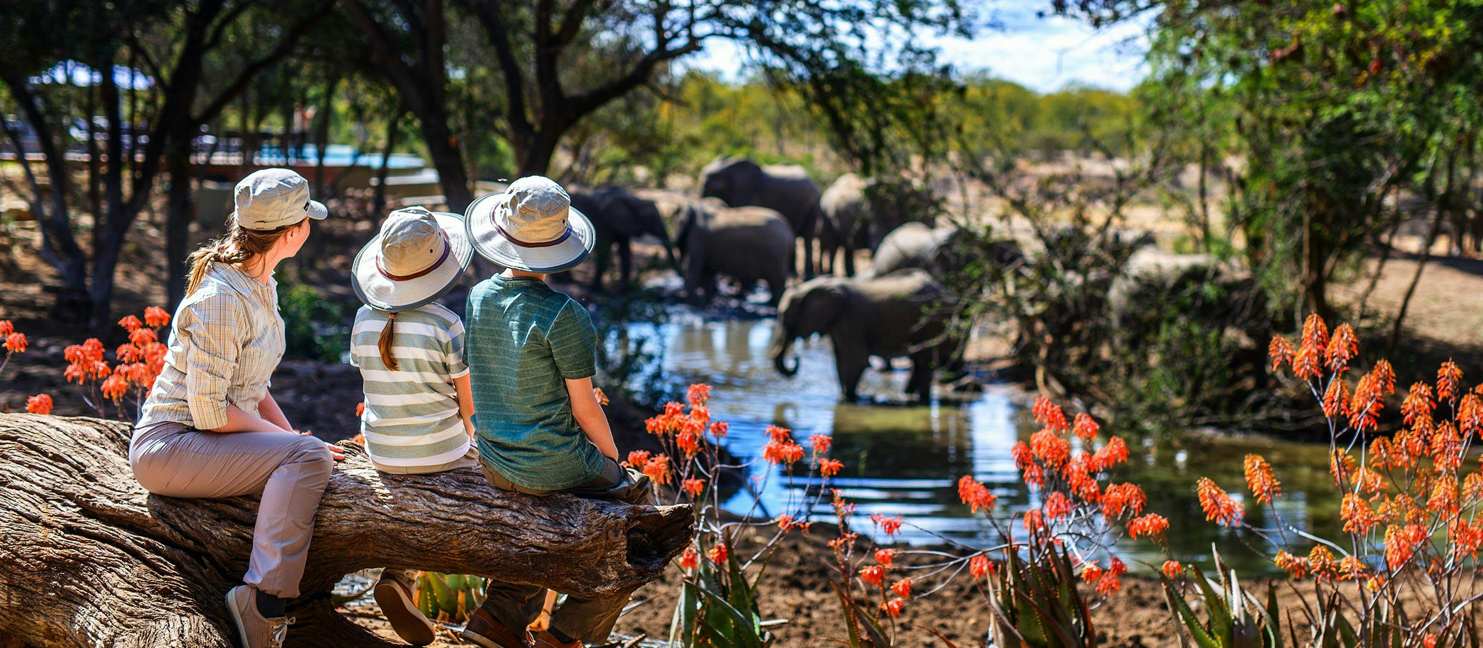 Three people sitting on a log with elephants in the background.