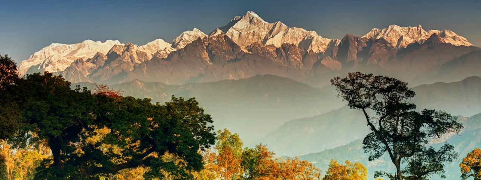A mountain range with trees in the background.