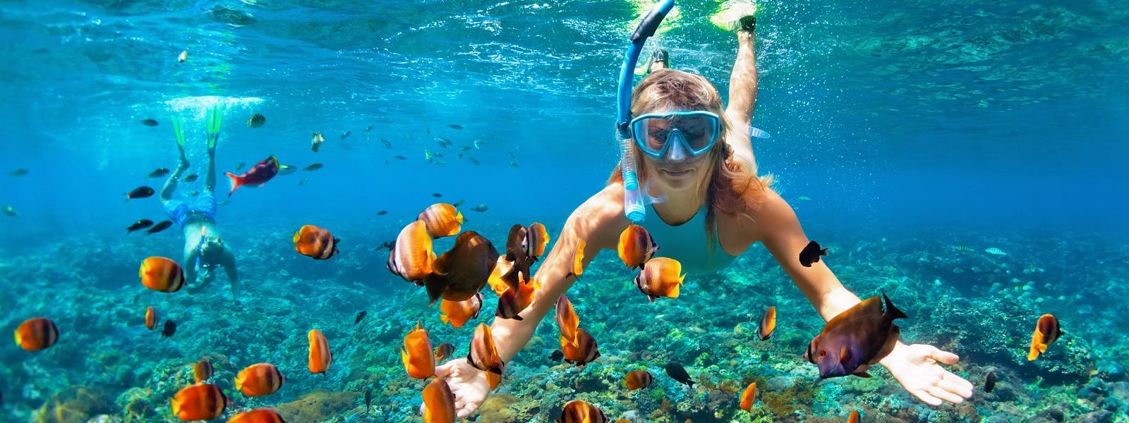 A woman is snorkling with fish in the ocean.