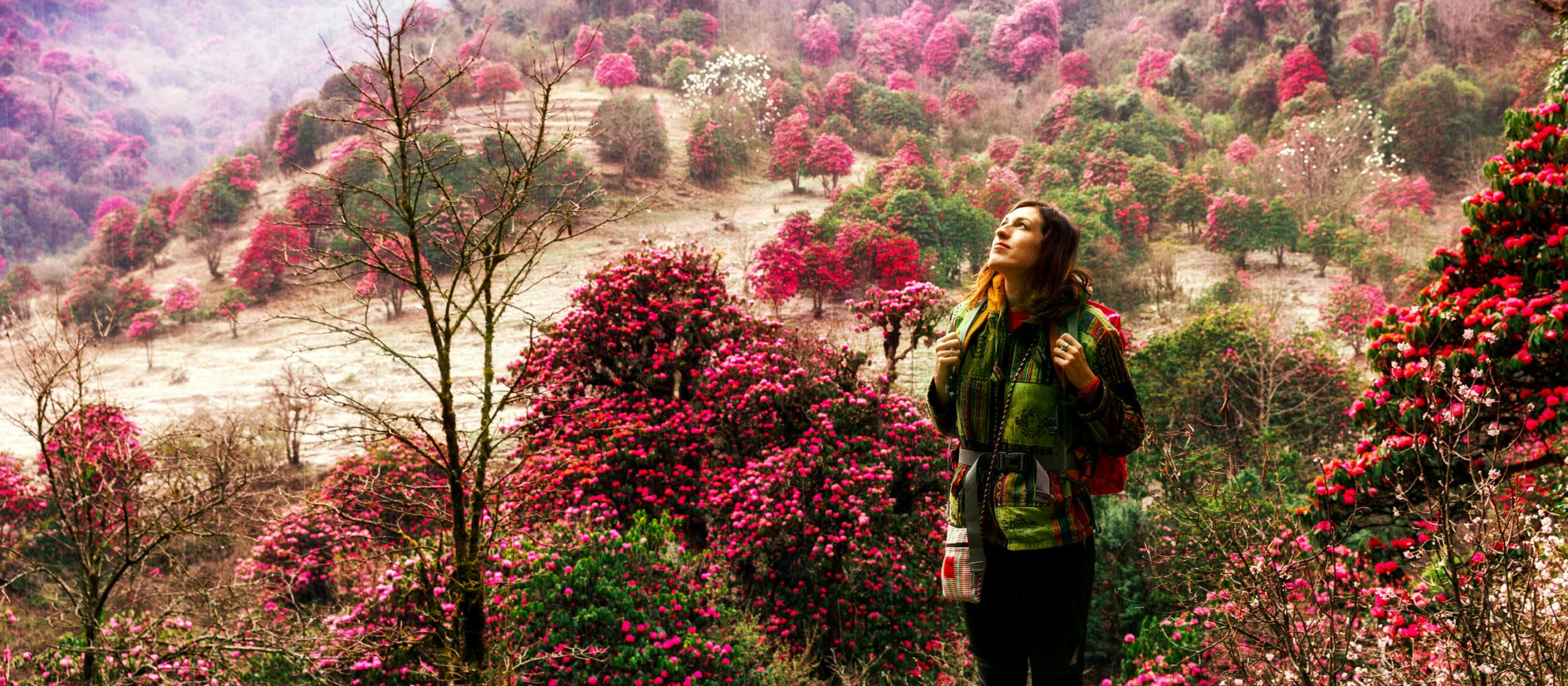 A woman standing in a field of pink flowers.