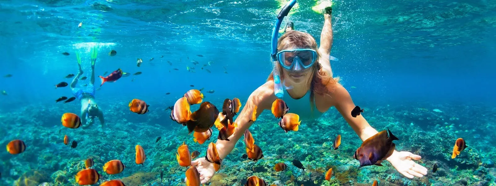 A woman is snorkling with fish in the ocean.