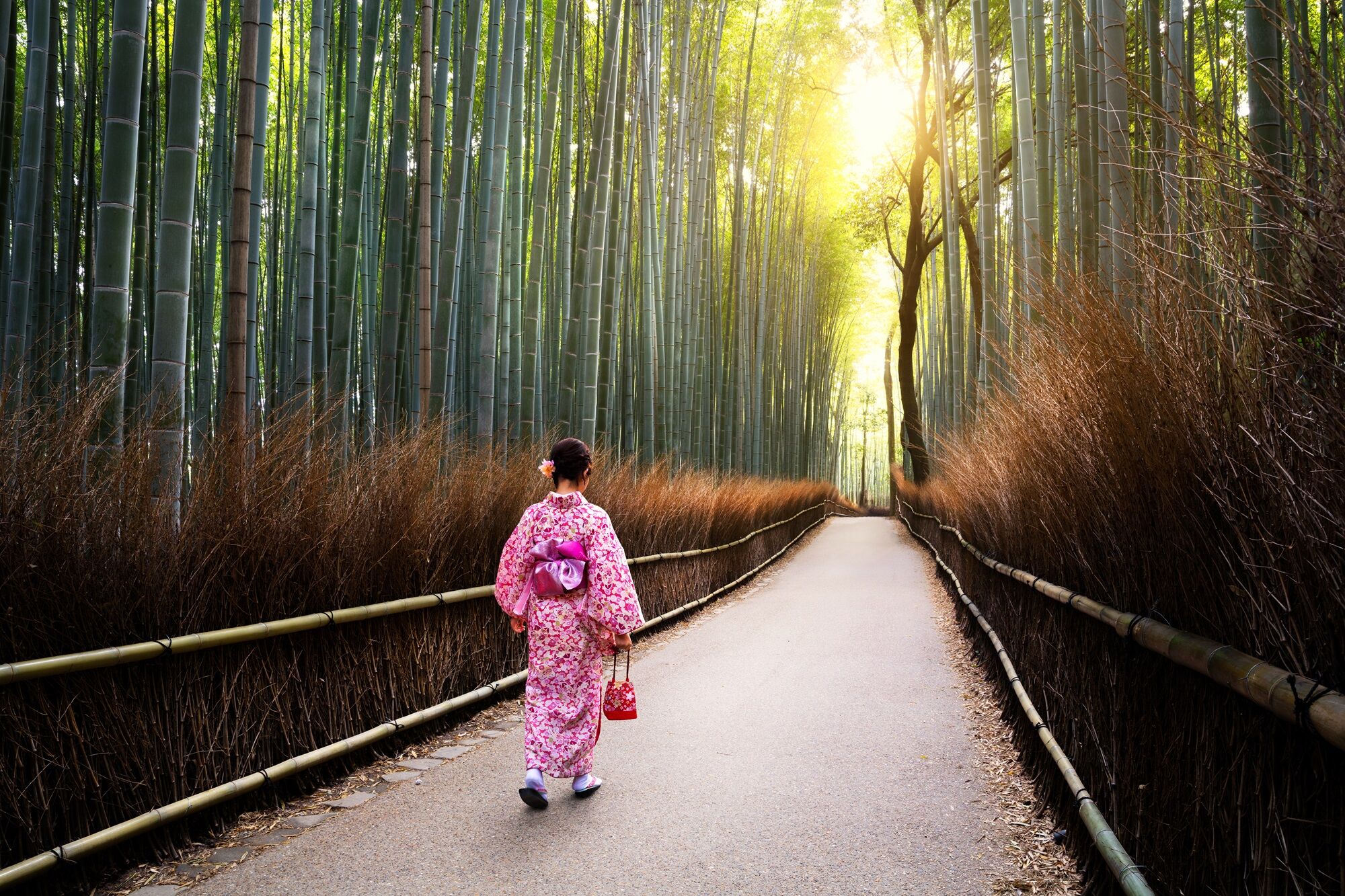 A woman in a kimono walks through a bamboo forest.