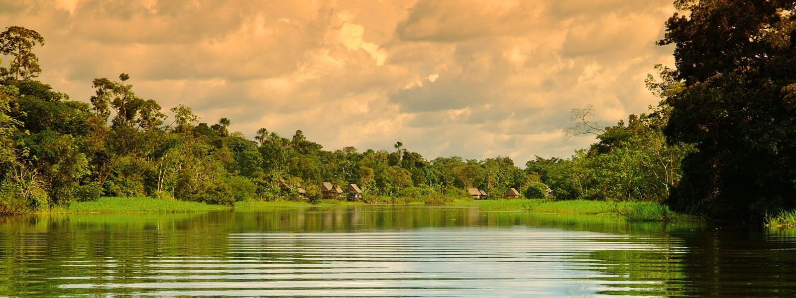 A river surrounded by trees and a cloudy sky.