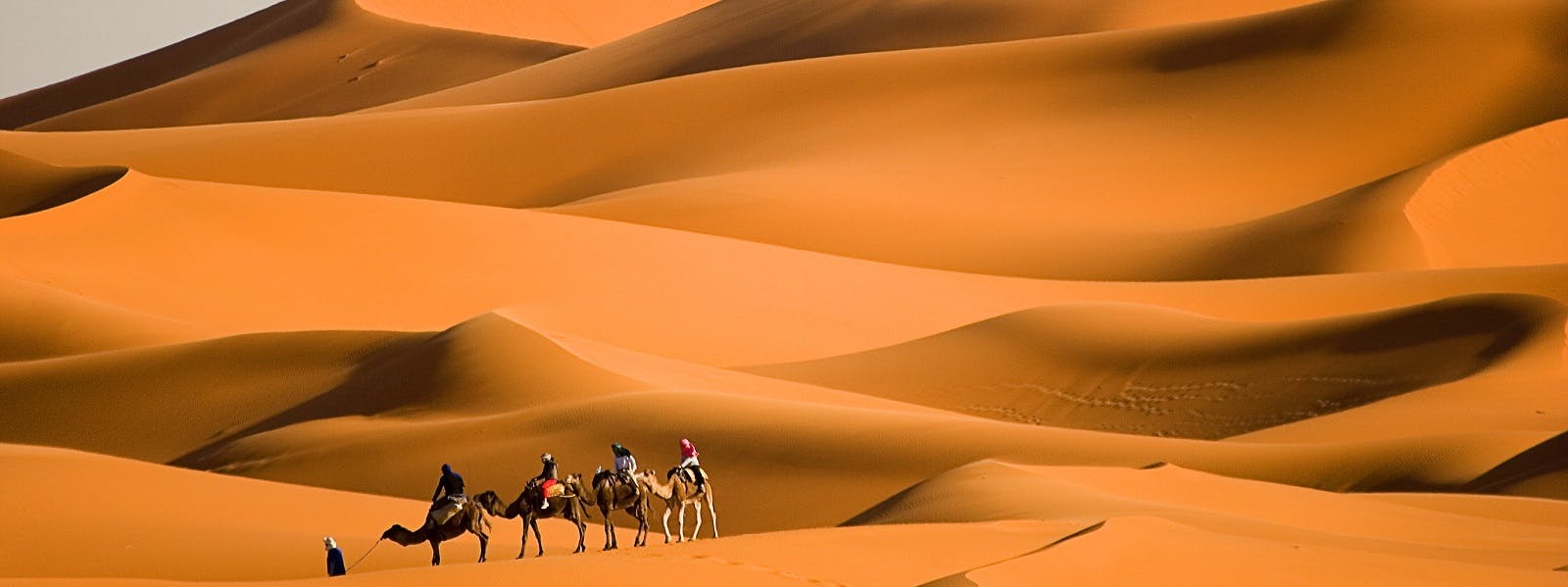 A group of people riding camels through the sahara desert.