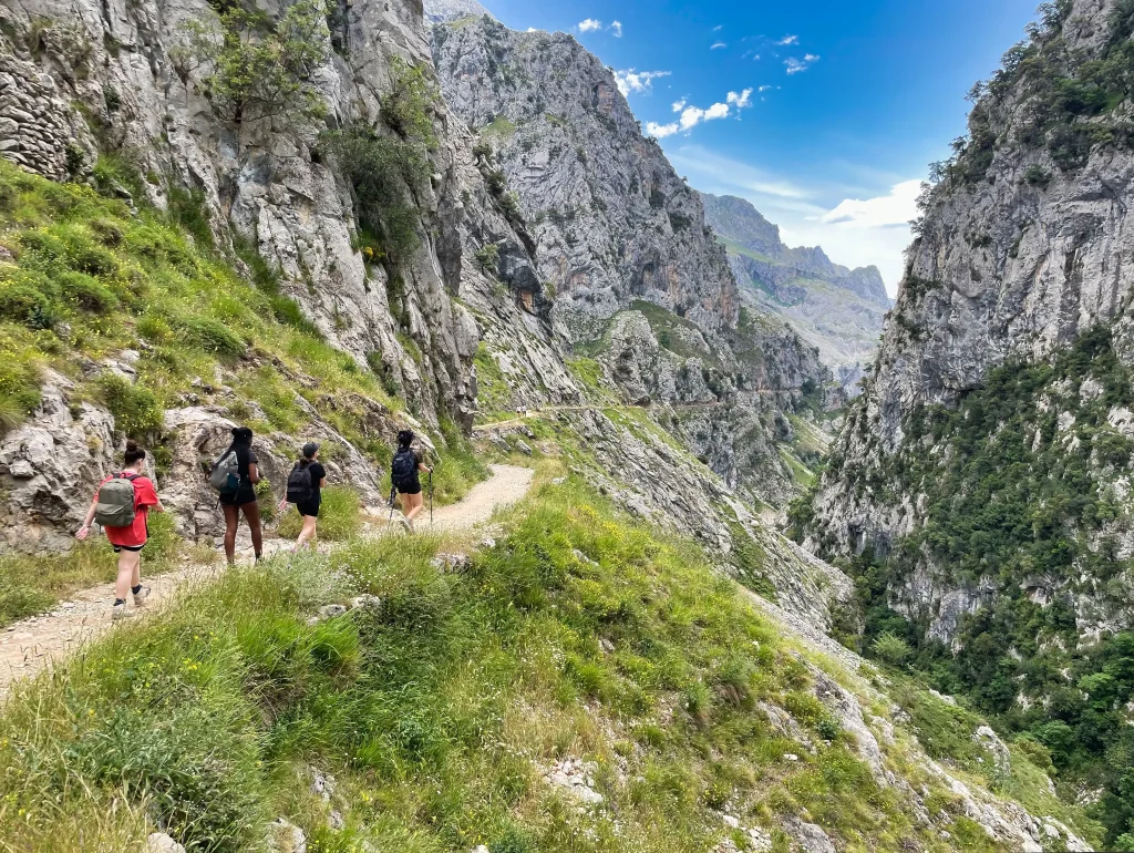 Trek high passes, traverse the stunning Cares Gorge, and take in spectacular views from jagged peaks to the Cantabrian Sea in northern Spain.
